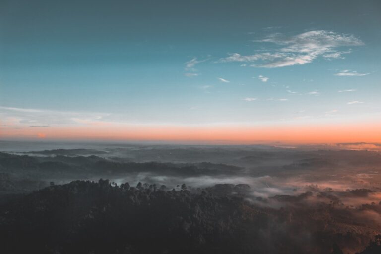 bird s eye view photography of green forest 1208379.jpg
